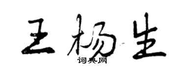 曾慶福王楊生行書個性簽名怎么寫