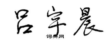 曾慶福呂宇晨行書個性簽名怎么寫