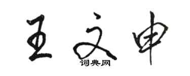 駱恆光王文申行書個性簽名怎么寫