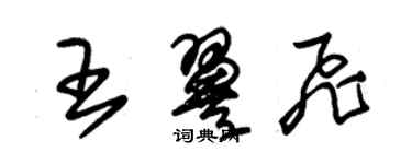 朱錫榮王翼飛草書個性簽名怎么寫