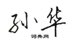 駱恆光孫華行書個性簽名怎么寫