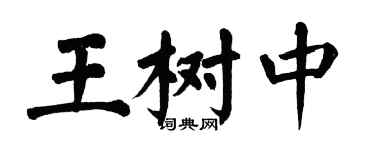 翁闓運王樹中楷書個性簽名怎么寫