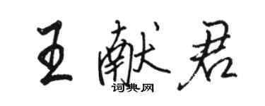 駱恆光王獻君行書個性簽名怎么寫