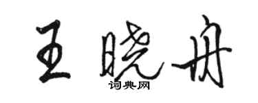 駱恆光王曉舟行書個性簽名怎么寫