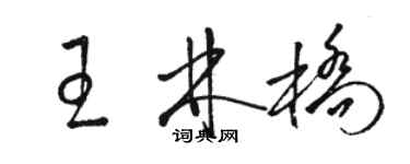 駱恆光王林橋草書個性簽名怎么寫