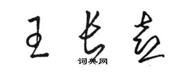 駱恆光王長喜草書個性簽名怎么寫