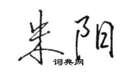 駱恆光朱陽行書個性簽名怎么寫