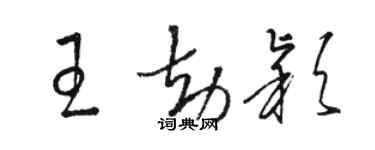 駱恆光王劫穎草書個性簽名怎么寫