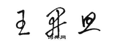 駱恆光王開旦草書個性簽名怎么寫