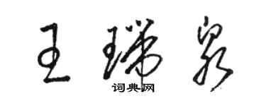 駱恆光王瑞泉草書個性簽名怎么寫