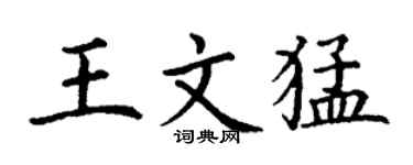 丁謙王文猛楷書個性簽名怎么寫