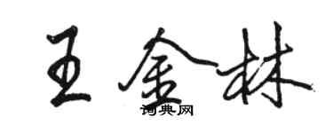 駱恆光王金林行書個性簽名怎么寫