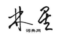 駱恆光林星草書個性簽名怎么寫