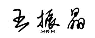 朱錫榮王振晶草書個性簽名怎么寫