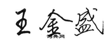 駱恆光王金盛行書個性簽名怎么寫