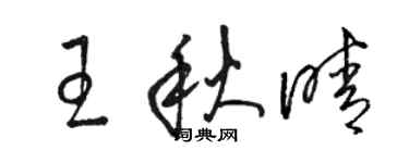 駱恆光王秋晴草書個性簽名怎么寫