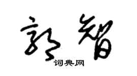 朱錫榮郭智草書個性簽名怎么寫