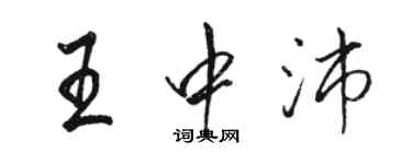 駱恆光王中沛行書個性簽名怎么寫