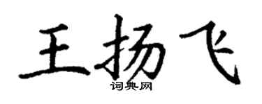 丁謙王揚飛楷書個性簽名怎么寫