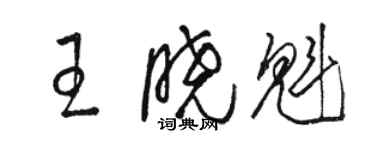 駱恆光王曉魁草書個性簽名怎么寫