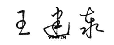 駱恆光王建泰草書個性簽名怎么寫