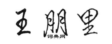 駱恆光王朋里行書個性簽名怎么寫