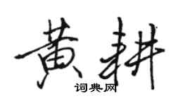 駱恆光黃耕行書個性簽名怎么寫