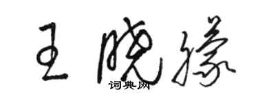 駱恆光王曉朦草書個性簽名怎么寫