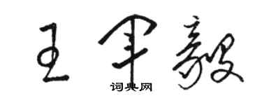 駱恆光王軍毅草書個性簽名怎么寫