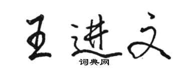 駱恆光王進文行書個性簽名怎么寫