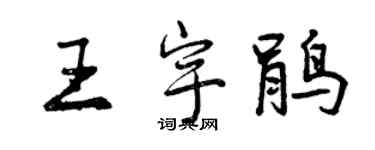 曾慶福王宇鵑行書個性簽名怎么寫