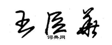 朱錫榮王臣華草書個性簽名怎么寫