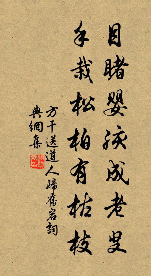 睡起流鶯語，掩蒼苔房櫳向晚，亂紅無數 詩詞名句