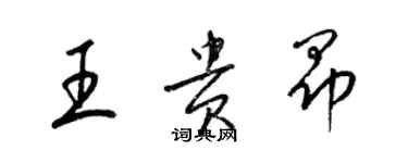 梁錦英王貴昂草書個性簽名怎么寫