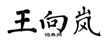 翁闓運王向嵐楷書個性簽名怎么寫