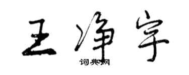 曾慶福王淨宇行書個性簽名怎么寫