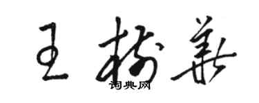 駱恆光王樹華草書個性簽名怎么寫