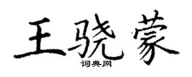 丁謙王驍蒙楷書個性簽名怎么寫