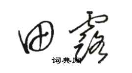 駱恆光田露草書個性簽名怎么寫
