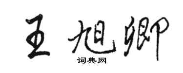 駱恆光王旭卿行書個性簽名怎么寫