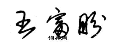 朱錫榮王富盼草書個性簽名怎么寫