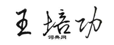 駱恆光王培功行書個性簽名怎么寫