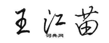 駱恆光王江苗行書個性簽名怎么寫
