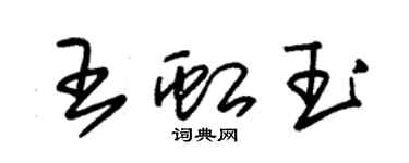 朱錫榮王虹玉草書個性簽名怎么寫