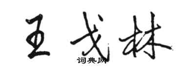 駱恆光王戈林行書個性簽名怎么寫