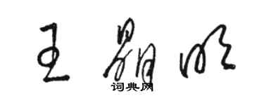 駱恆光王晶明草書個性簽名怎么寫