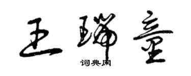 曾慶福王瑞童草書個性簽名怎么寫