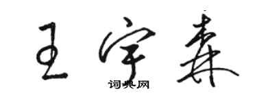 駱恆光王宇森草書個性簽名怎么寫