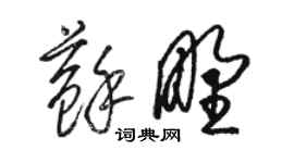 駱恆光蘇野草書個性簽名怎么寫