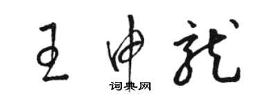 駱恆光王申龍草書個性簽名怎么寫